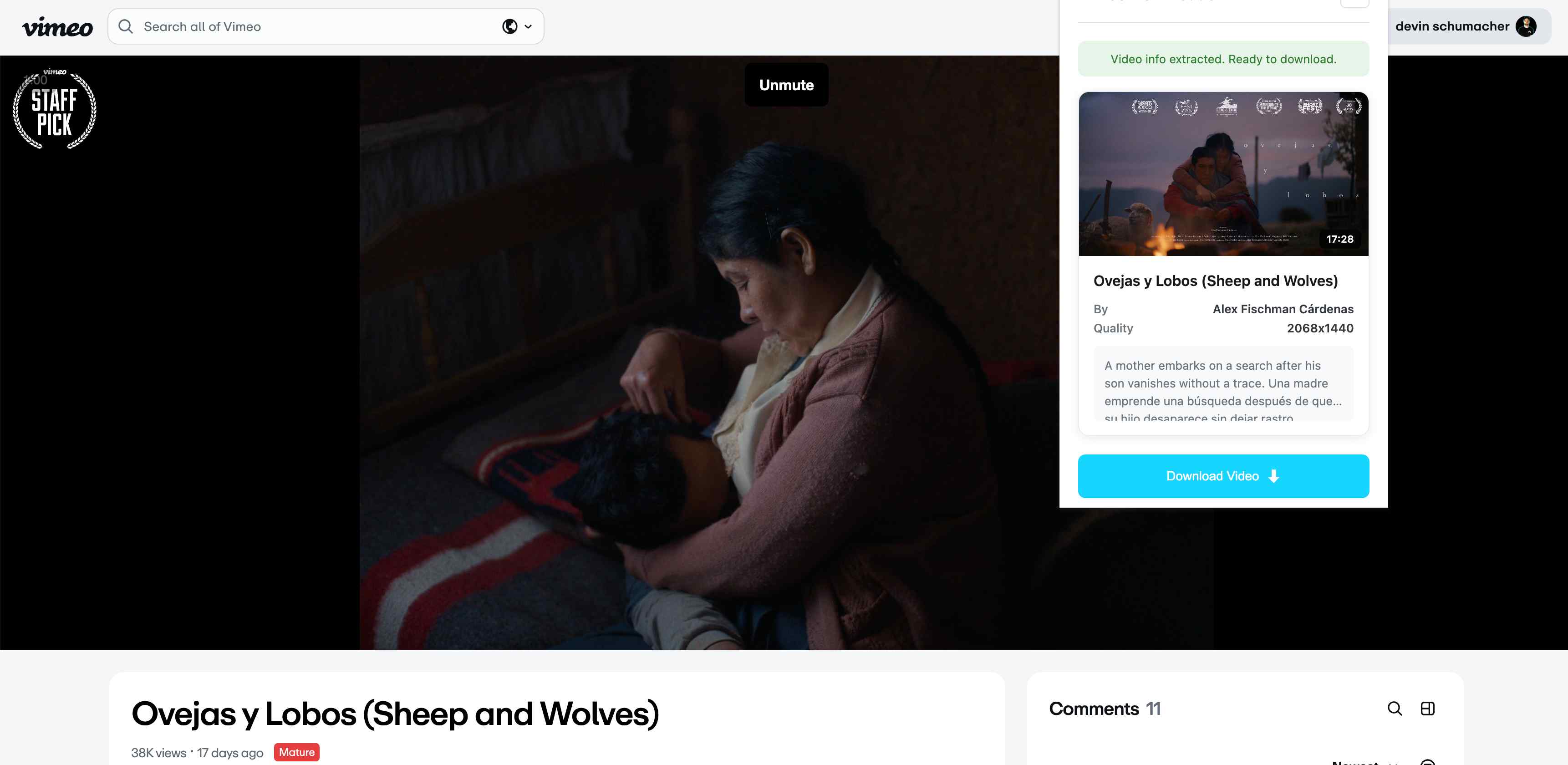 Vimeo Video Downloader browser extension screenshot 5